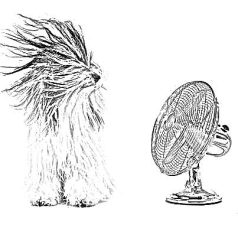 Szárítók, tartók, kiegészítők