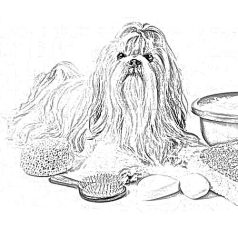 Ápolószer, hajgumi, fertőtlenítő, klikker