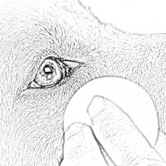 Szemkörnyék ápoló